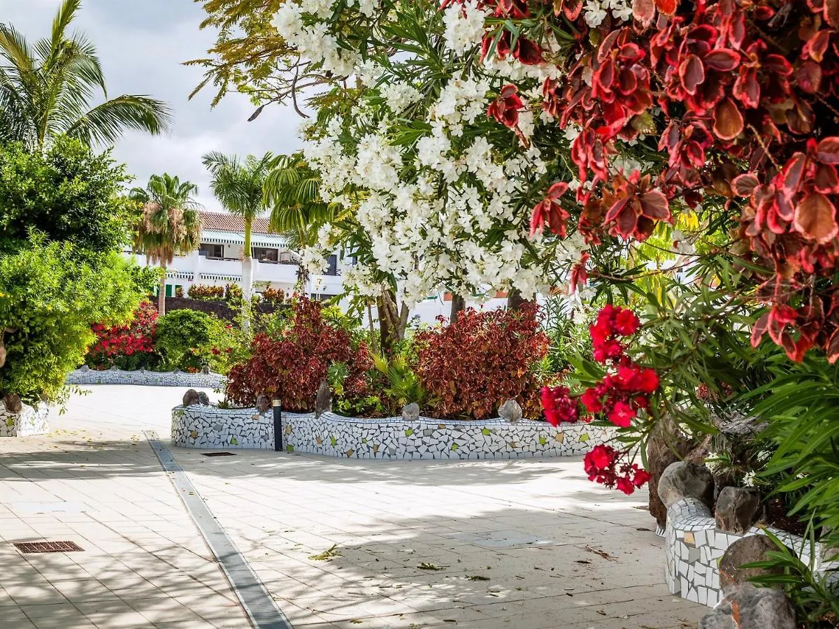 Blue Waters Apartment With Heated Pool Costa Del Silencio 0*,  Spain